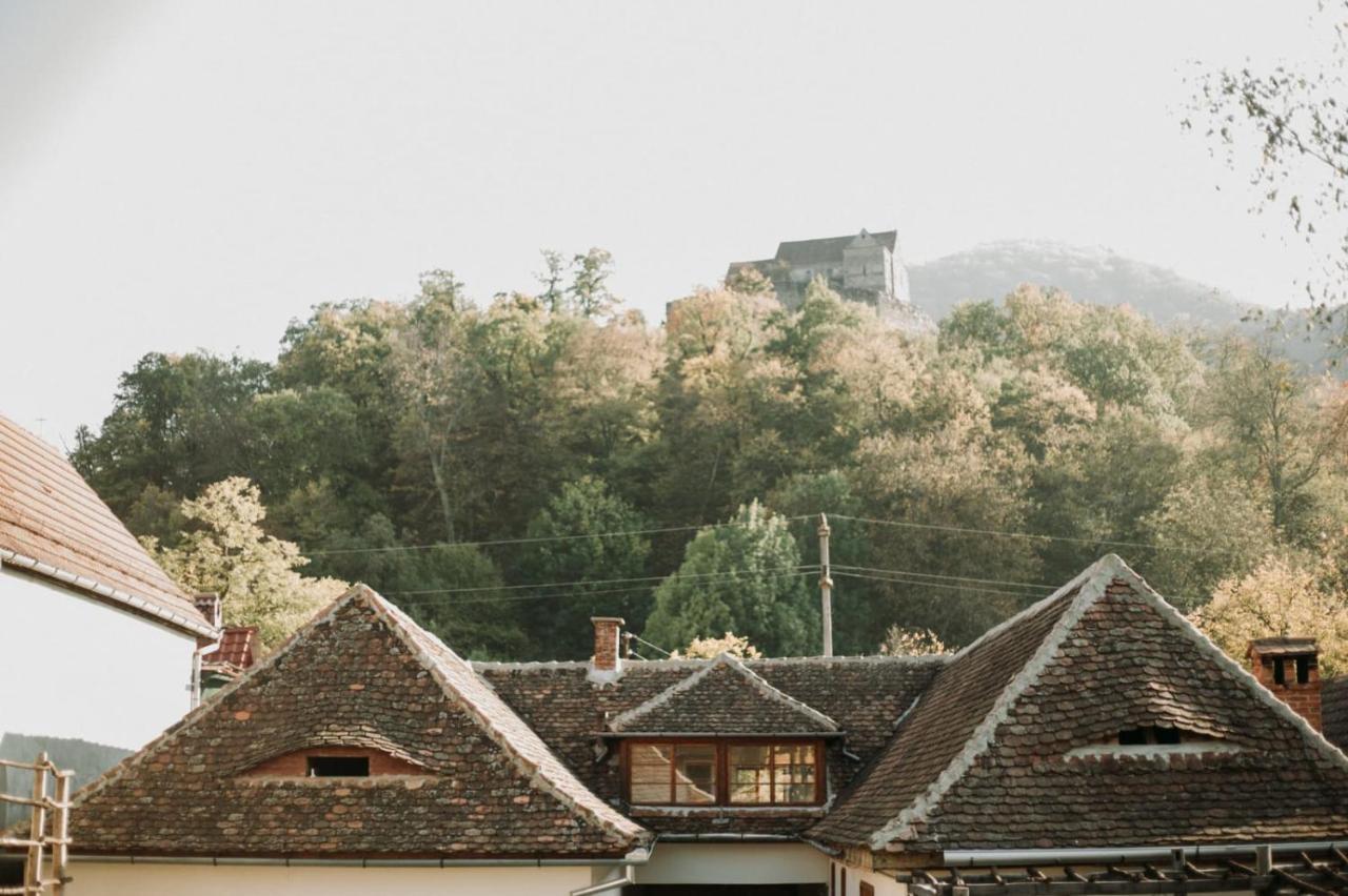 Pensiunea Agora Michelsberg Exterior foto
