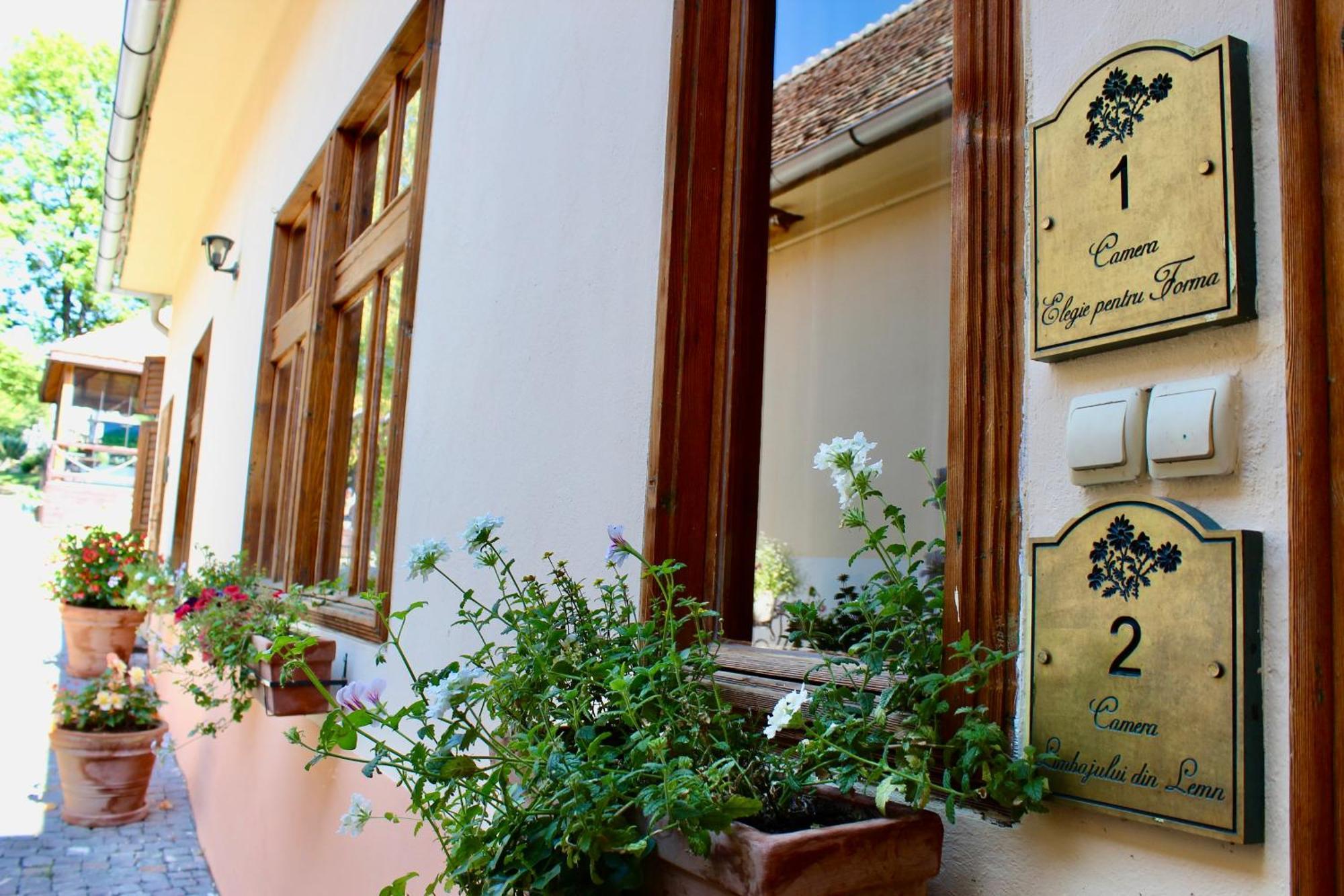 Pensiunea Agora Michelsberg Exterior foto