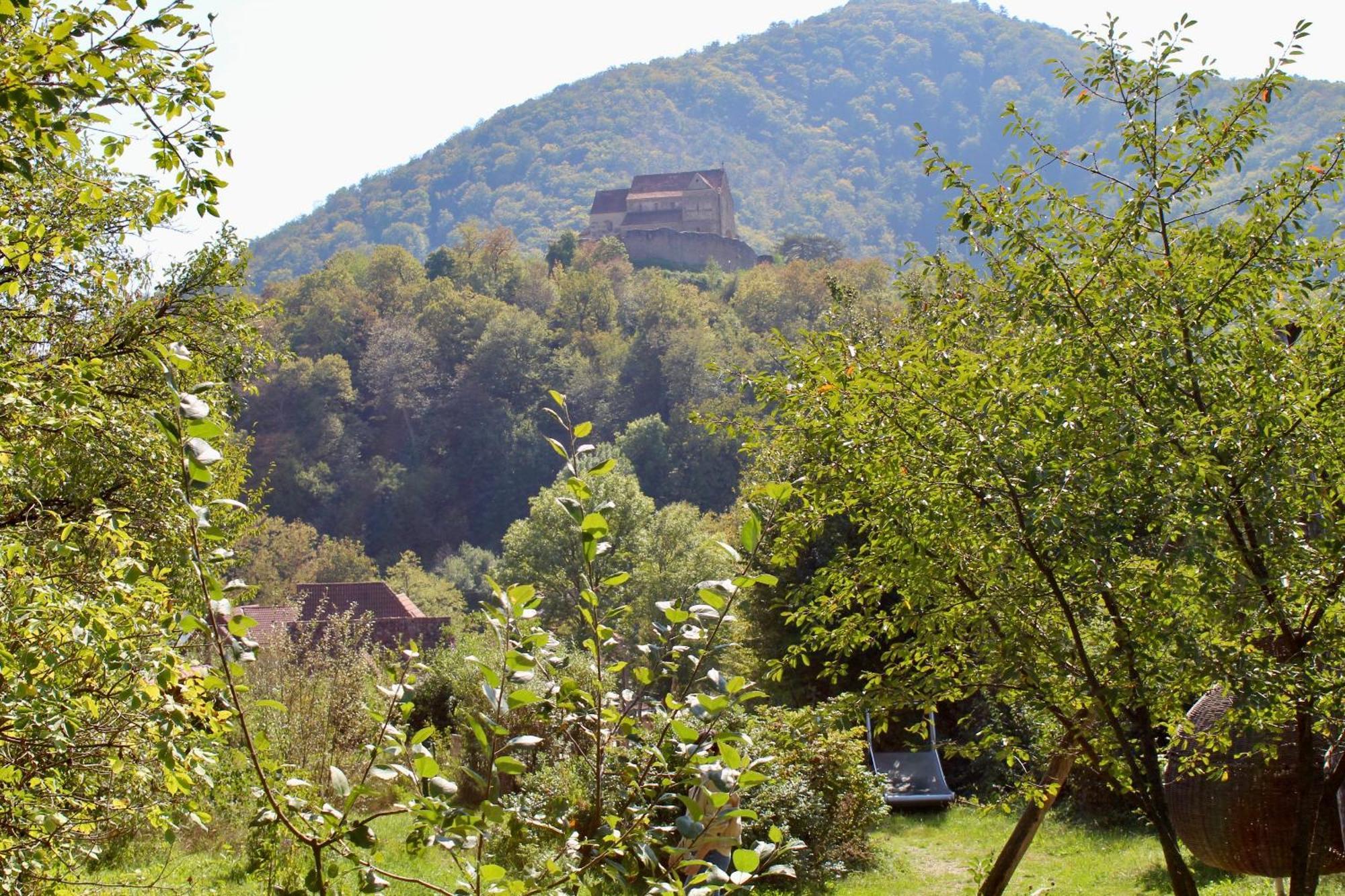 Pensiunea Agora Michelsberg Exterior foto