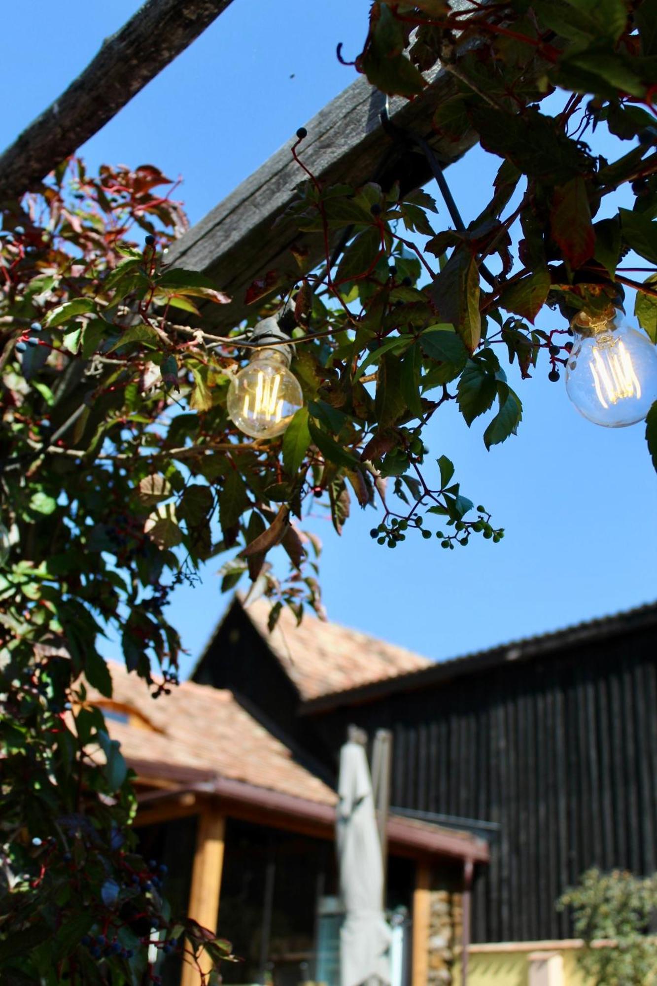 Pensiunea Agora Michelsberg Exterior foto